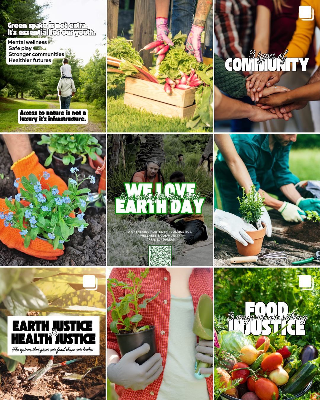 Roots to Wellness Social Media Management + Graphics Creation gallery image