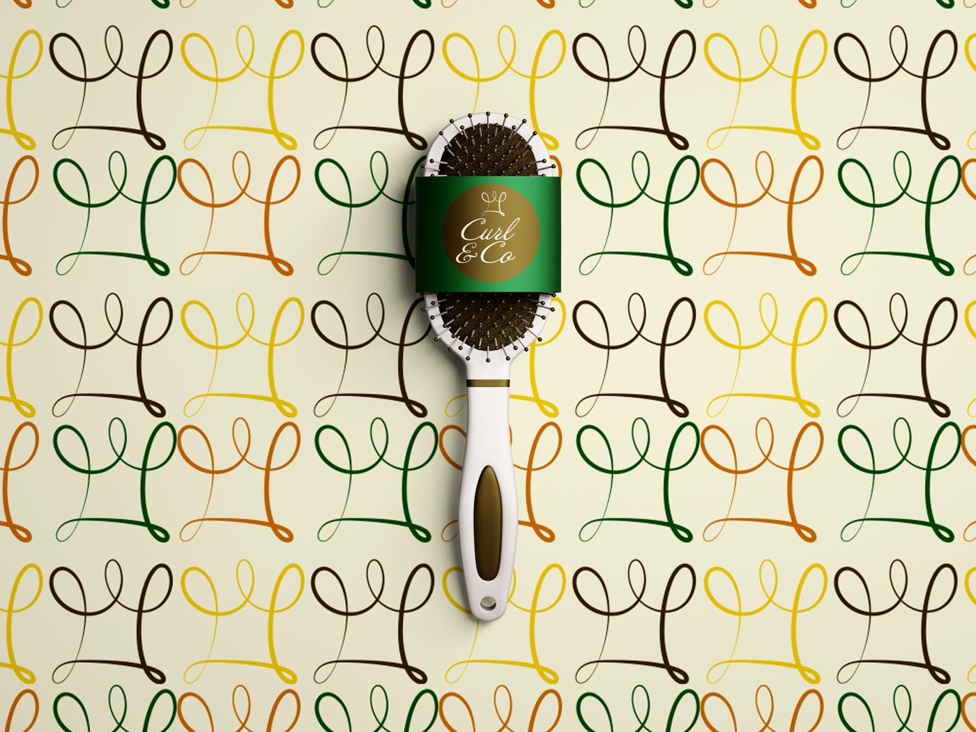 Curl & Co. cover